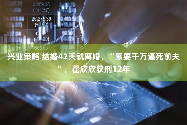 兴业策略 结婚42天就离婚，“索要千万逼死前夫”，翟欣欣获刑12年