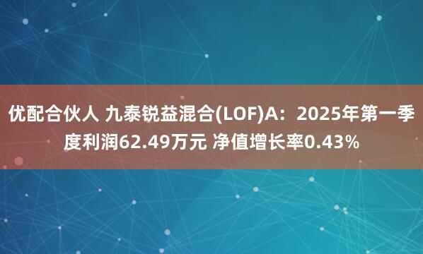 优配合伙人 九泰锐益混合(LOF)A：2025年第一季度利润62.49万元 净值增长率0.43%