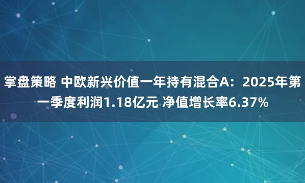 掌盘策略 中欧新兴价值一年持有混合A：2025年第一季度利润1.18亿元 净值增长率6.37%