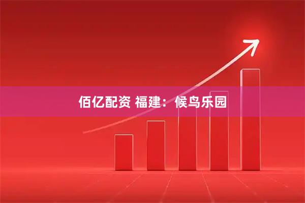 佰亿配资 福建：候鸟乐园