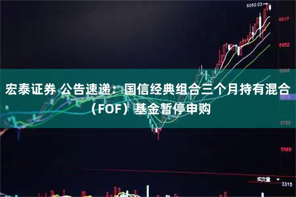 宏泰证券 公告速递：国信经典组合三个月持有混合（FOF）基金暂停申购