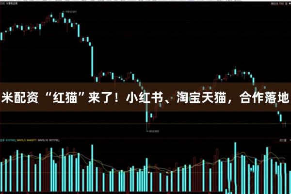 米配资 “红猫”来了！小红书、淘宝天猫，合作落地