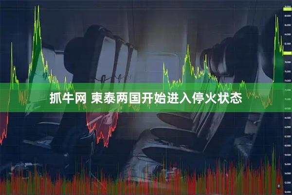 抓牛网 柬泰两国开始进入停火状态
