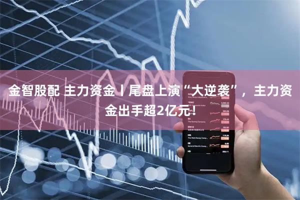 金智股配 主力资金丨尾盘上演“大逆袭”，主力资金出手超2亿元！